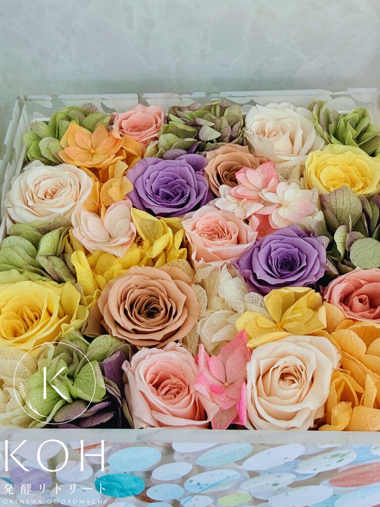 KOH_multiflowers
